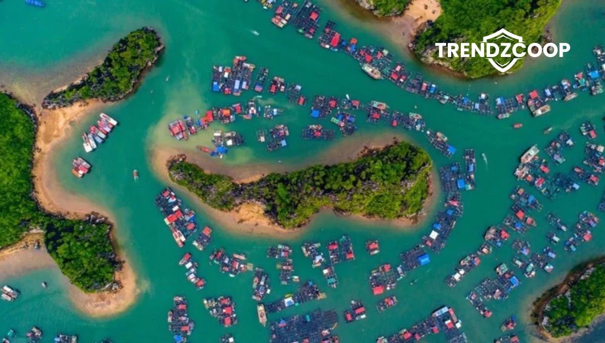 Majuli Island, Assam