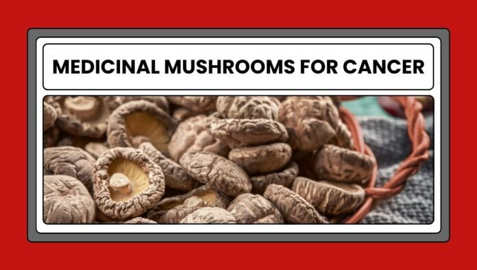Medicinal mushrooms for cancer