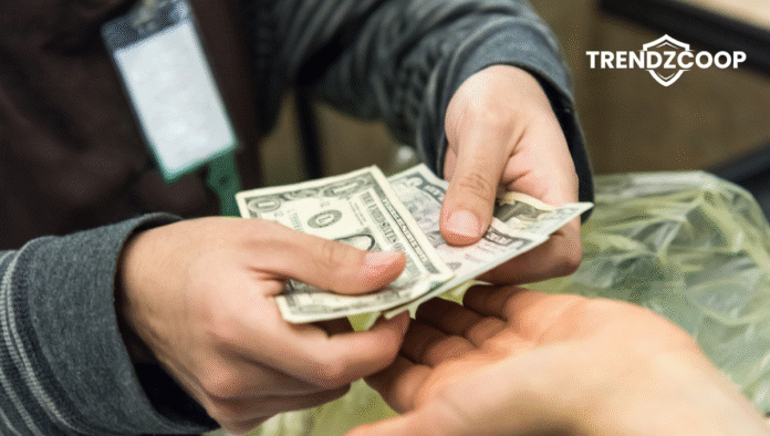 Highest Paying Freelance Careers