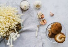 Do Nootropic Mushrooms Really Work? Experts Weigh In (2025 Guide) Nootropic Mushrooms