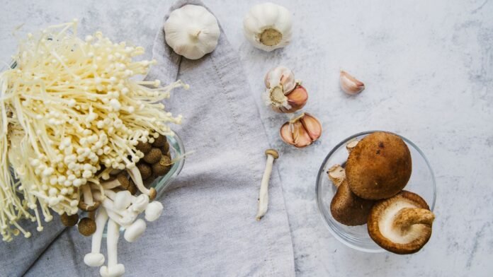 Nootropic Mushrooms