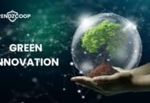 Green Innovation: How Cutting-Edge Solutions Are Reshaping Our Sustainable Future Green Innovation